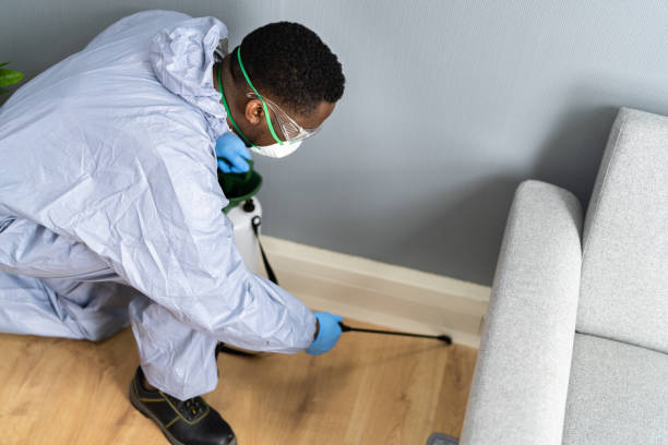 Reliable Brentwood, NY Pest control Solutions